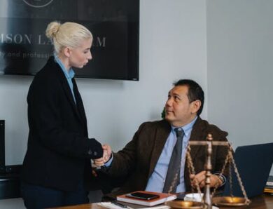 Approaches and Expertise of Various Kinds of Lawyers